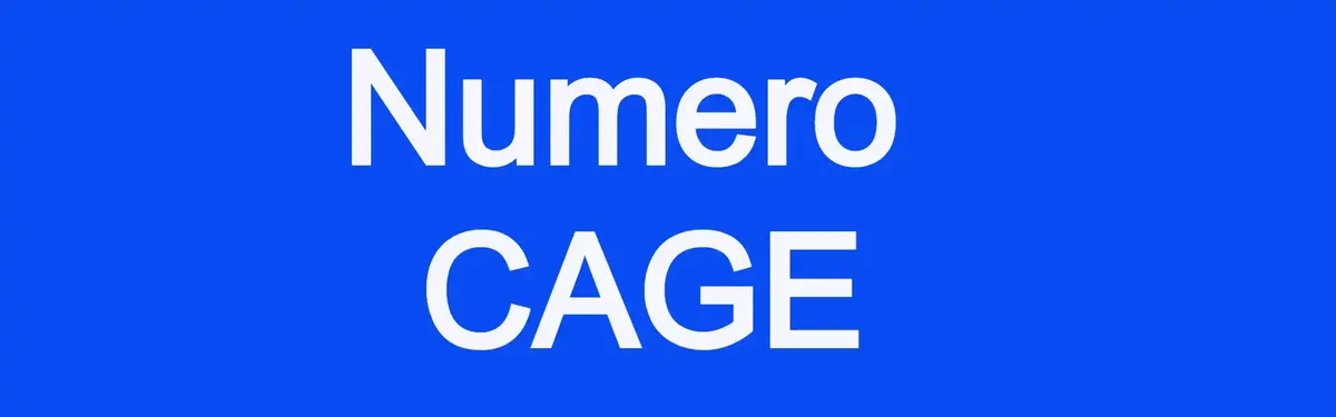 Come richiedere il numero CAGE per appalti e contratti con il governo americano