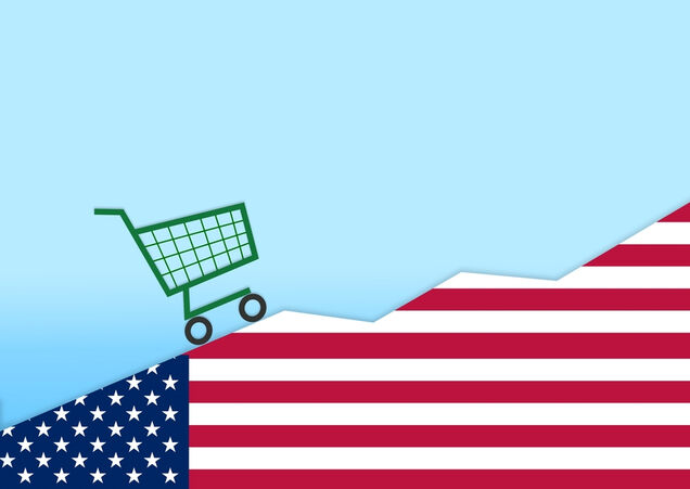 La grande distribuzione negli Stati Uniti d'America Dati sulle attività dei supermercati e sui consumatori americani (2021)