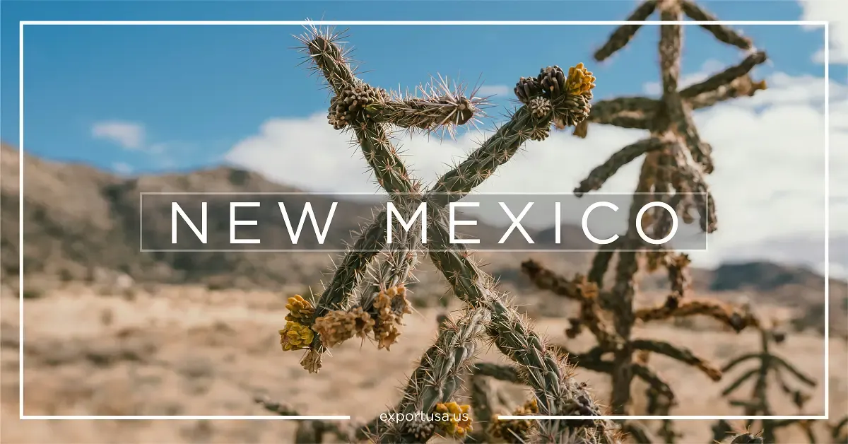 New Mexico stato americano dove aprire una fabbrica o uno stabilimento produttivo