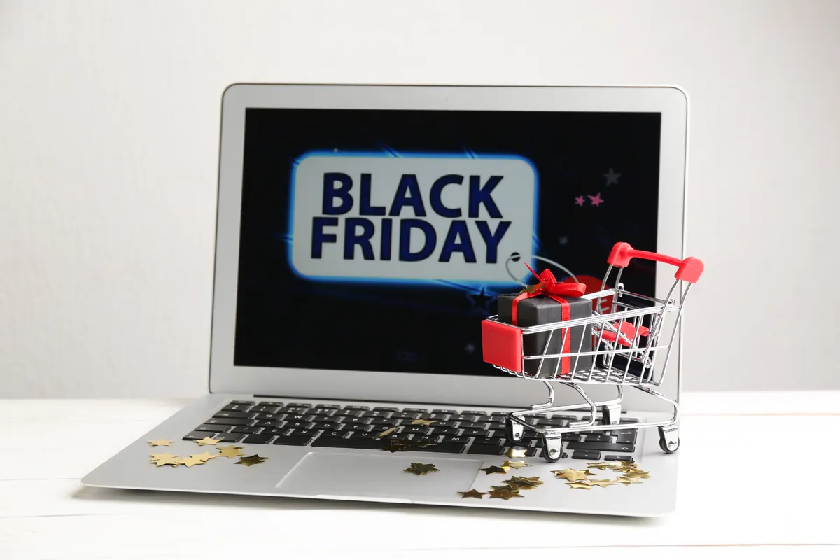 Vendite Black Friday USA