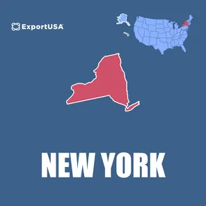 Mappa dello Stato di New York dove aprire un'attività o uno stabilimento produttivo